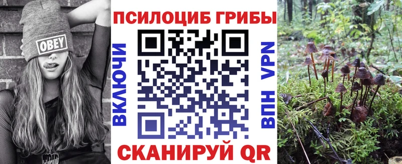 Галлюциногенные грибы мицелий  закладка  Шумерля 