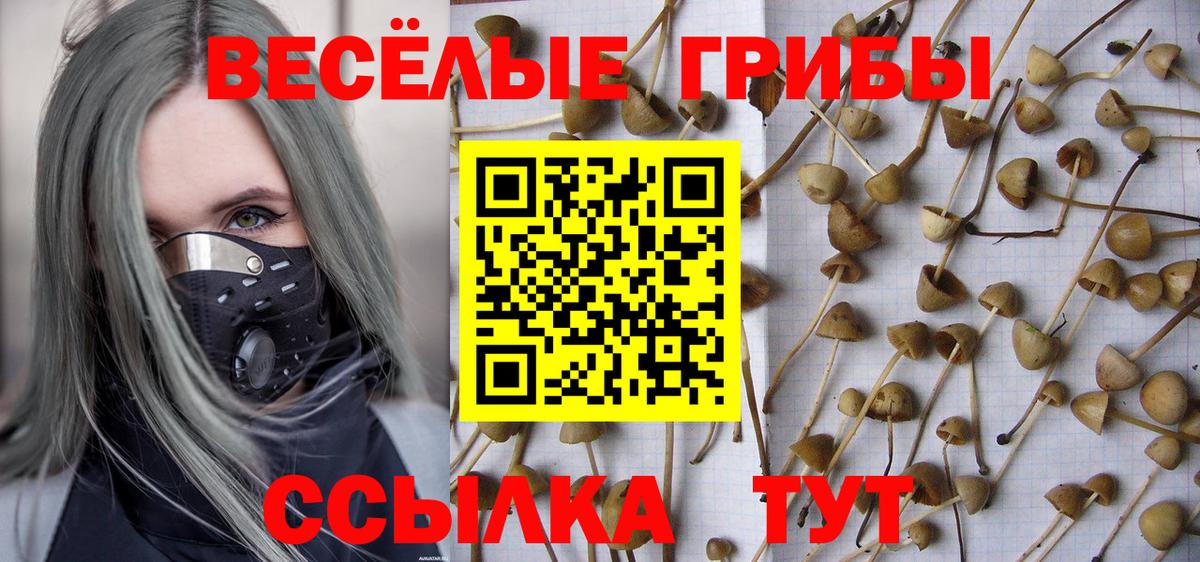 Псилоцибиновые грибы Magic Shrooms  Вход с VPN  Шумерля 